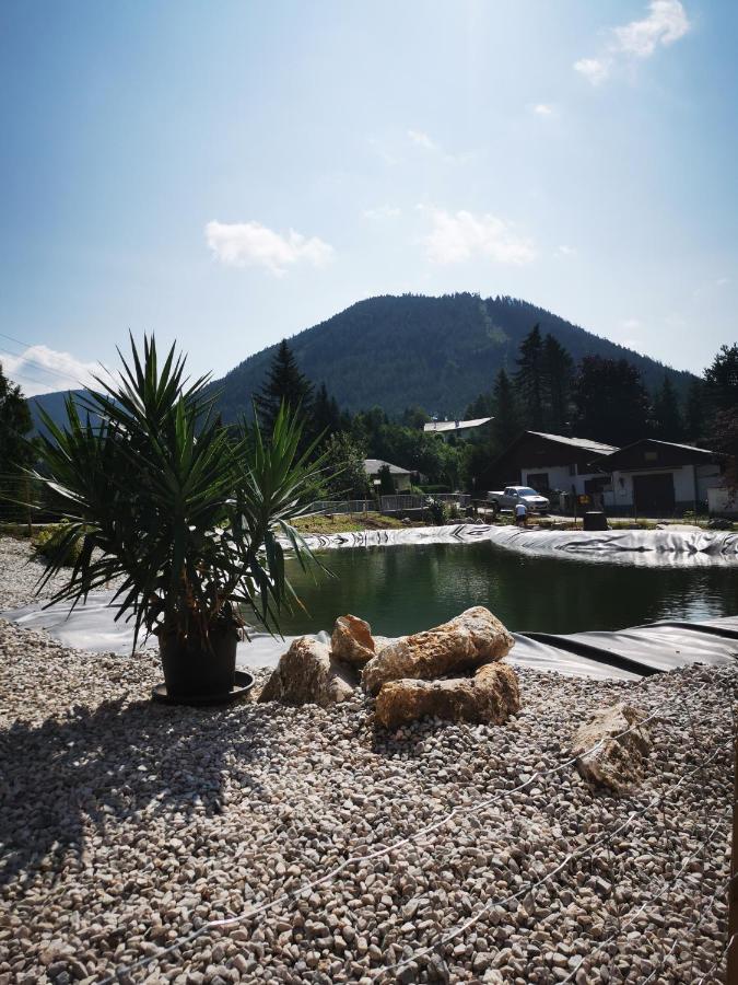 Fruehstueckspension Gasthof Gesslbauer Hotel Steinhaus am Semmering ภายนอก รูปภาพ