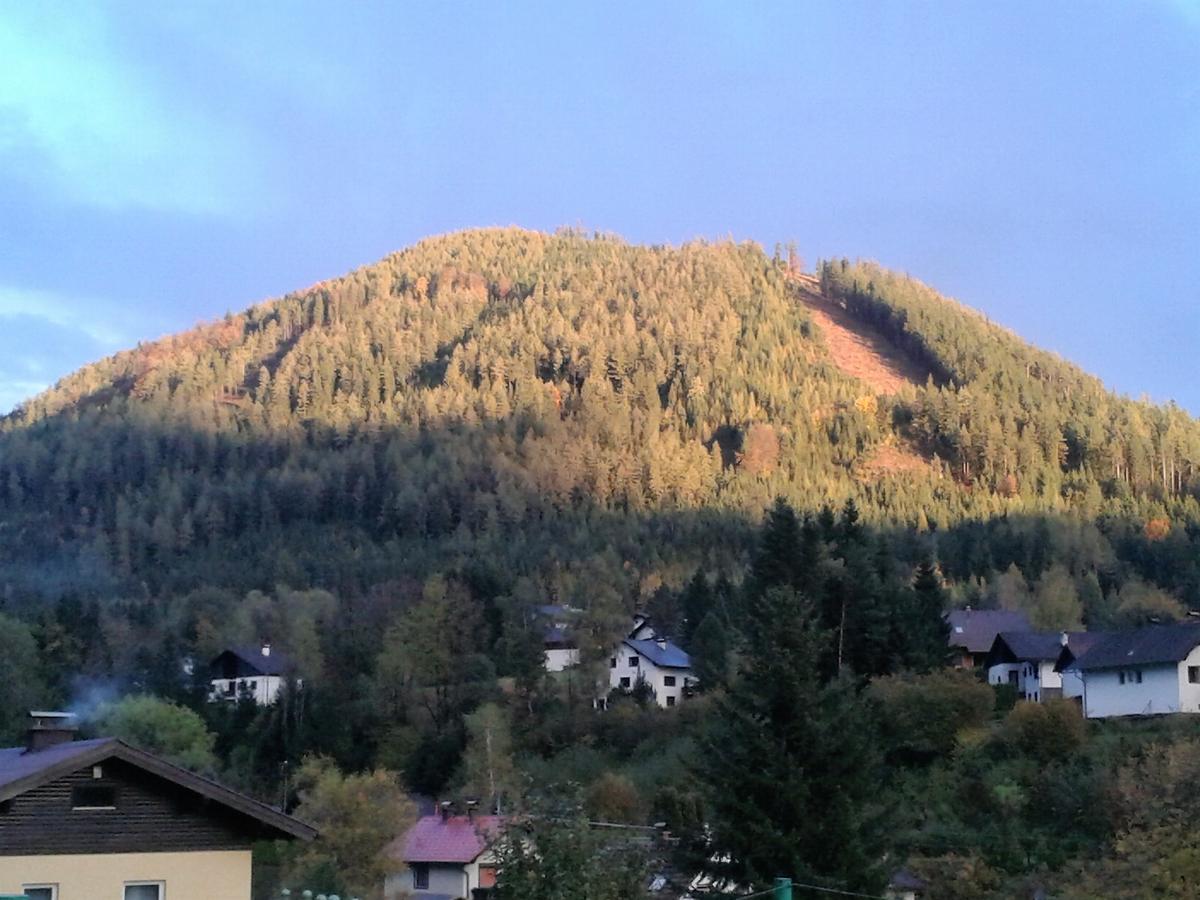 Fruehstueckspension Gasthof Gesslbauer Hotel Steinhaus am Semmering ภายนอก รูปภาพ