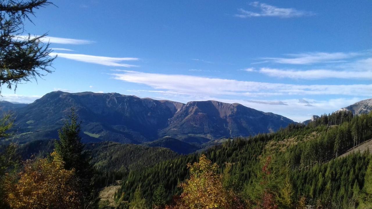 Fruehstueckspension Gasthof Gesslbauer Hotel Steinhaus am Semmering ภายนอก รูปภาพ