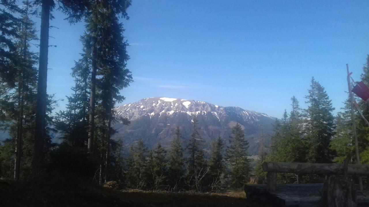 Fruehstueckspension Gasthof Gesslbauer Hotel Steinhaus am Semmering ภายนอก รูปภาพ